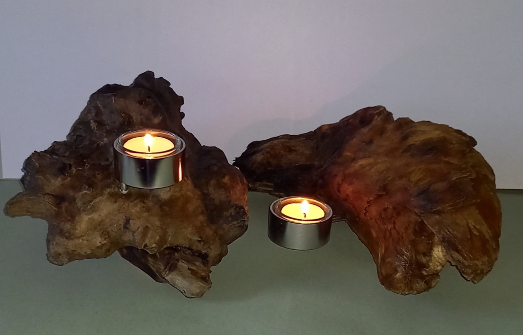 schwemm-holz – zwillinge